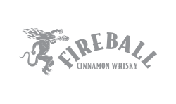 Fireball Logo DreamBig Creative Minneapolis, MN