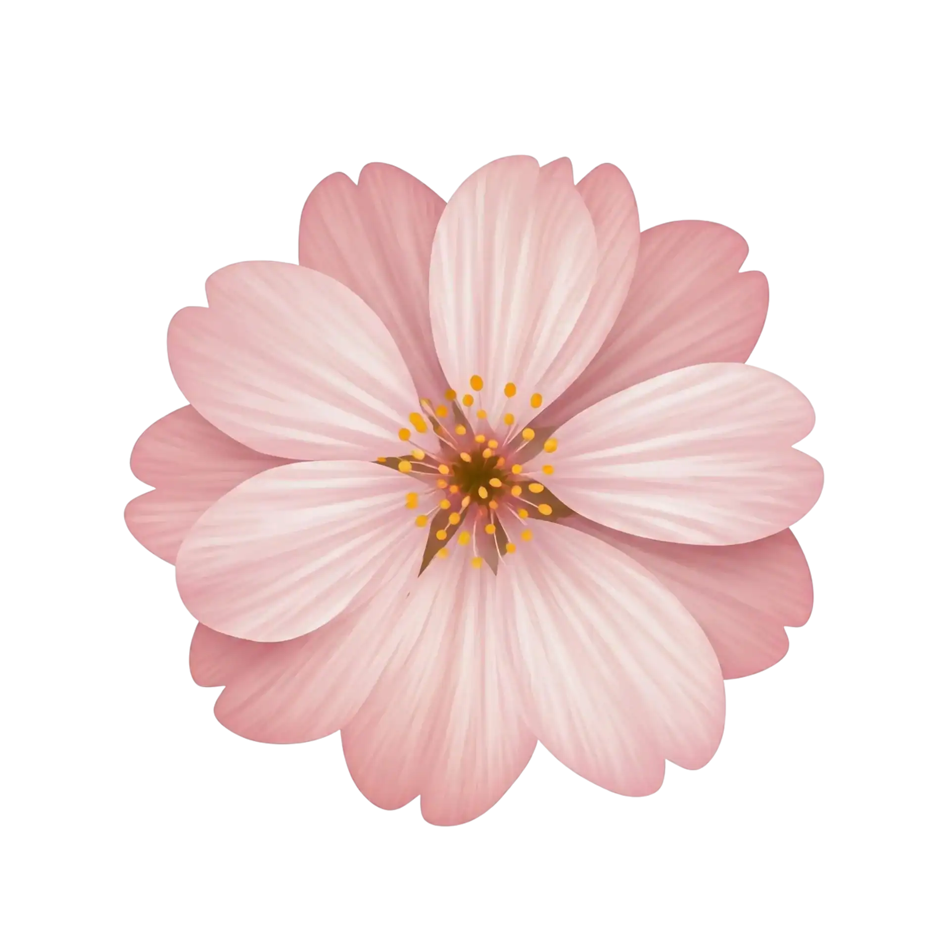 pink-flower-with-yellow-center-is-shown-drawing